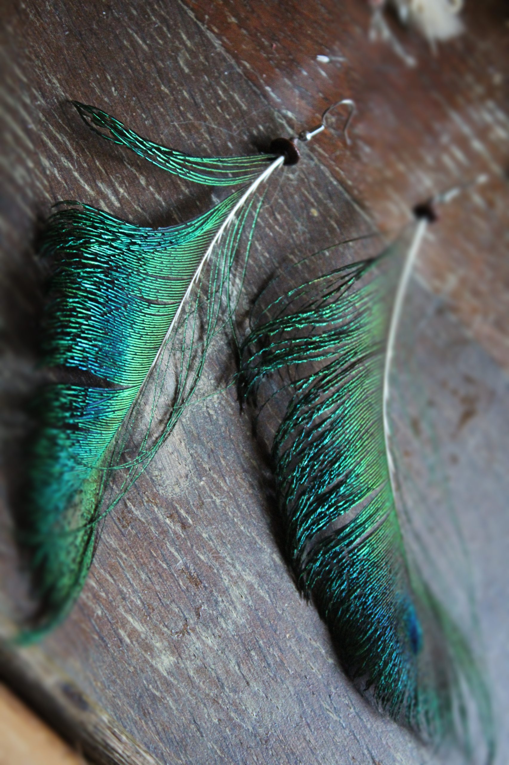 Grandes boucles d'oreilles plumes de paon et perles en bois
