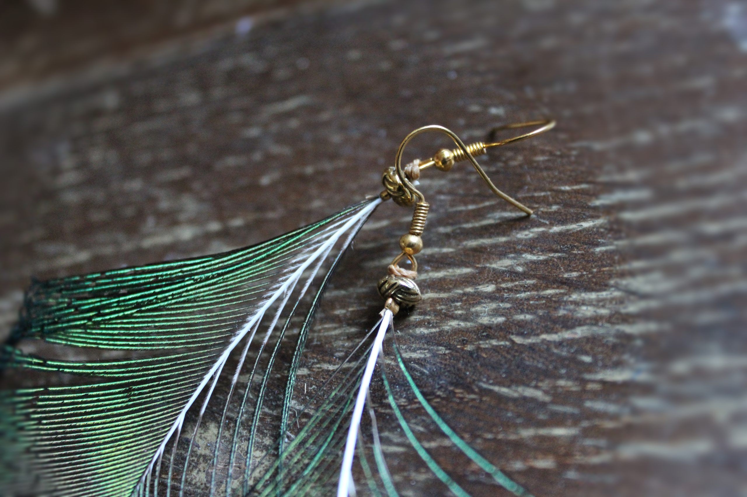 Boucles d'oreilles plumes de paon oeil