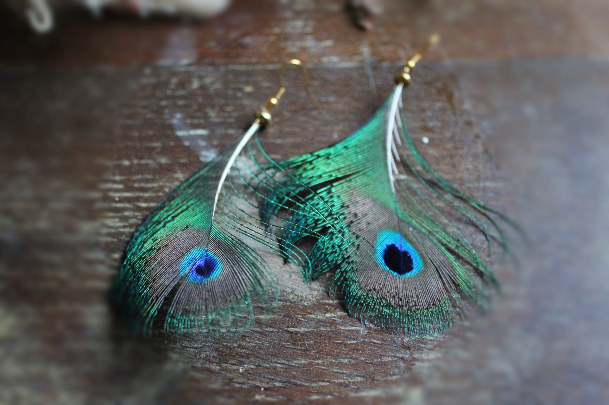 Boucles d'oreilles plumes de paon oeil
