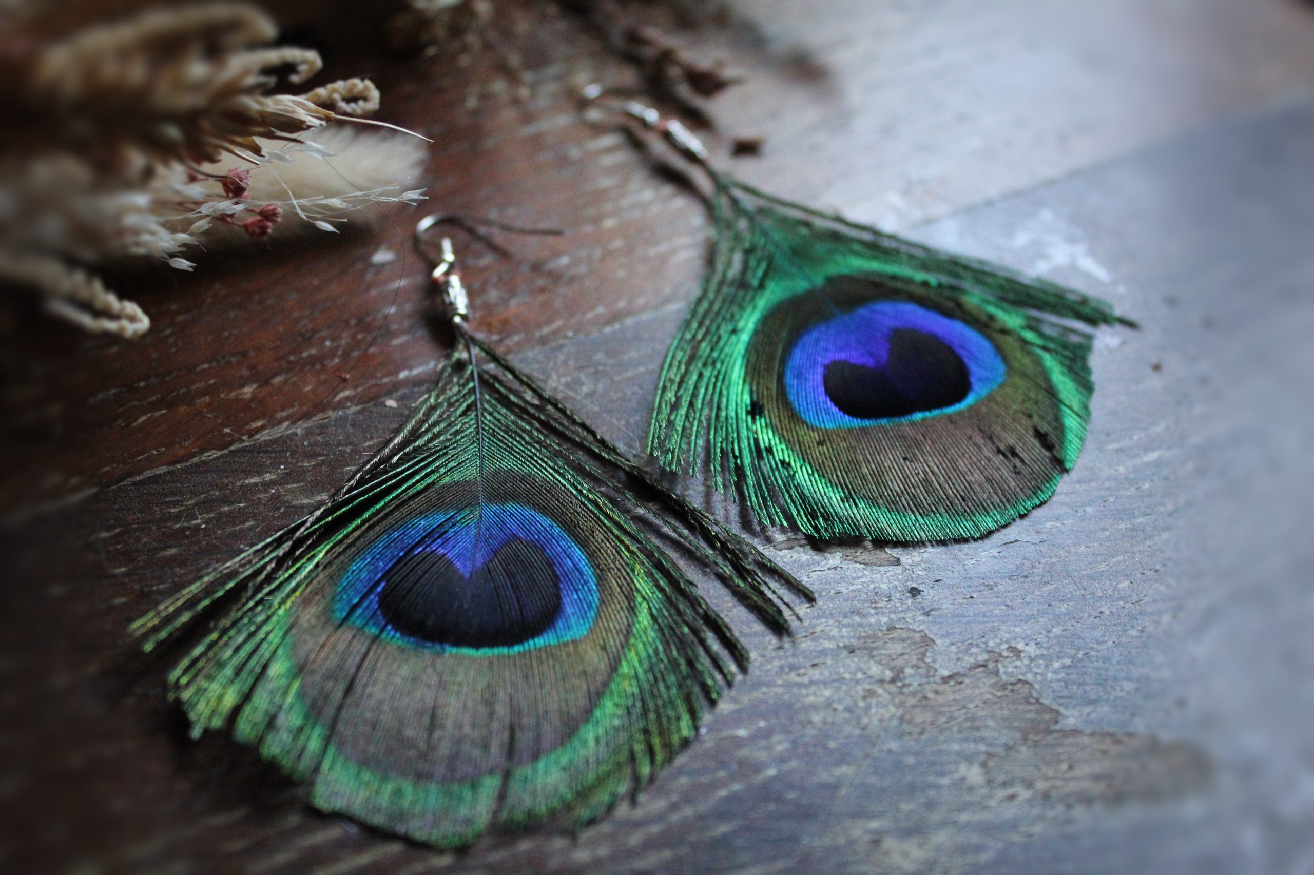 Boucles d'oreilles plumes de paon oeil
