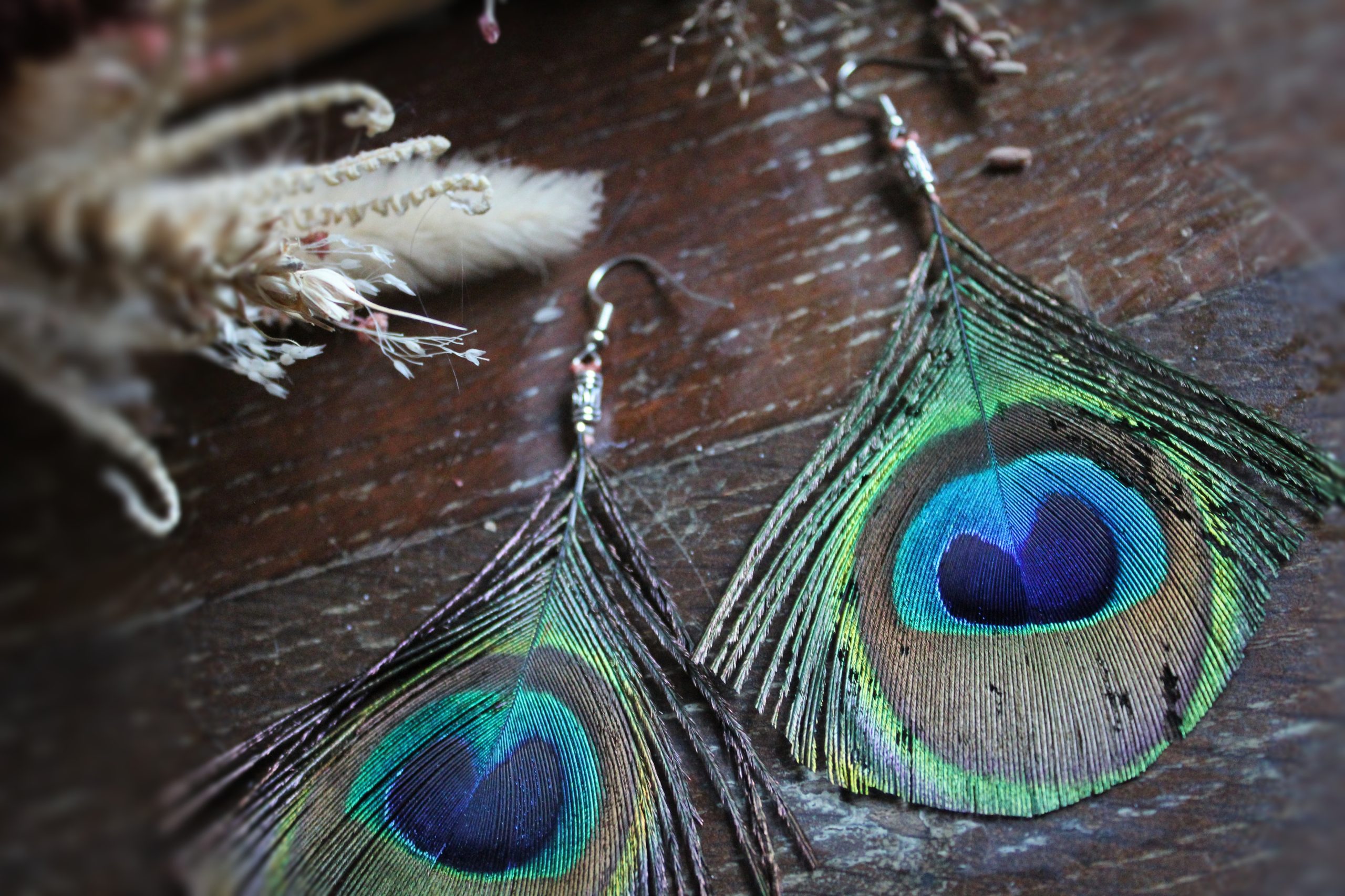 Boucles d'oreilles plumes de paon oeil