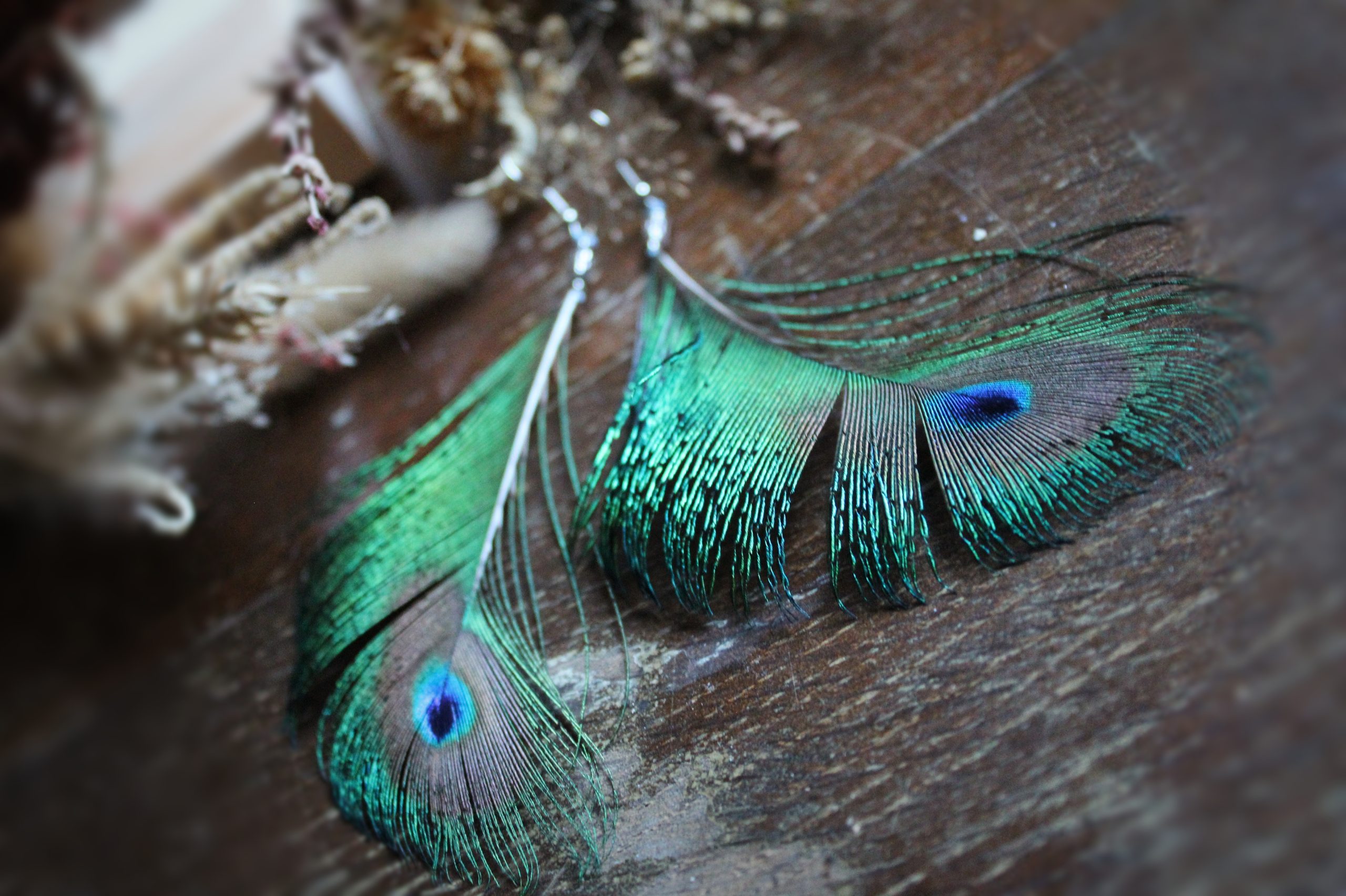 Grandes boucles d'oreilles plumes de paon oeil