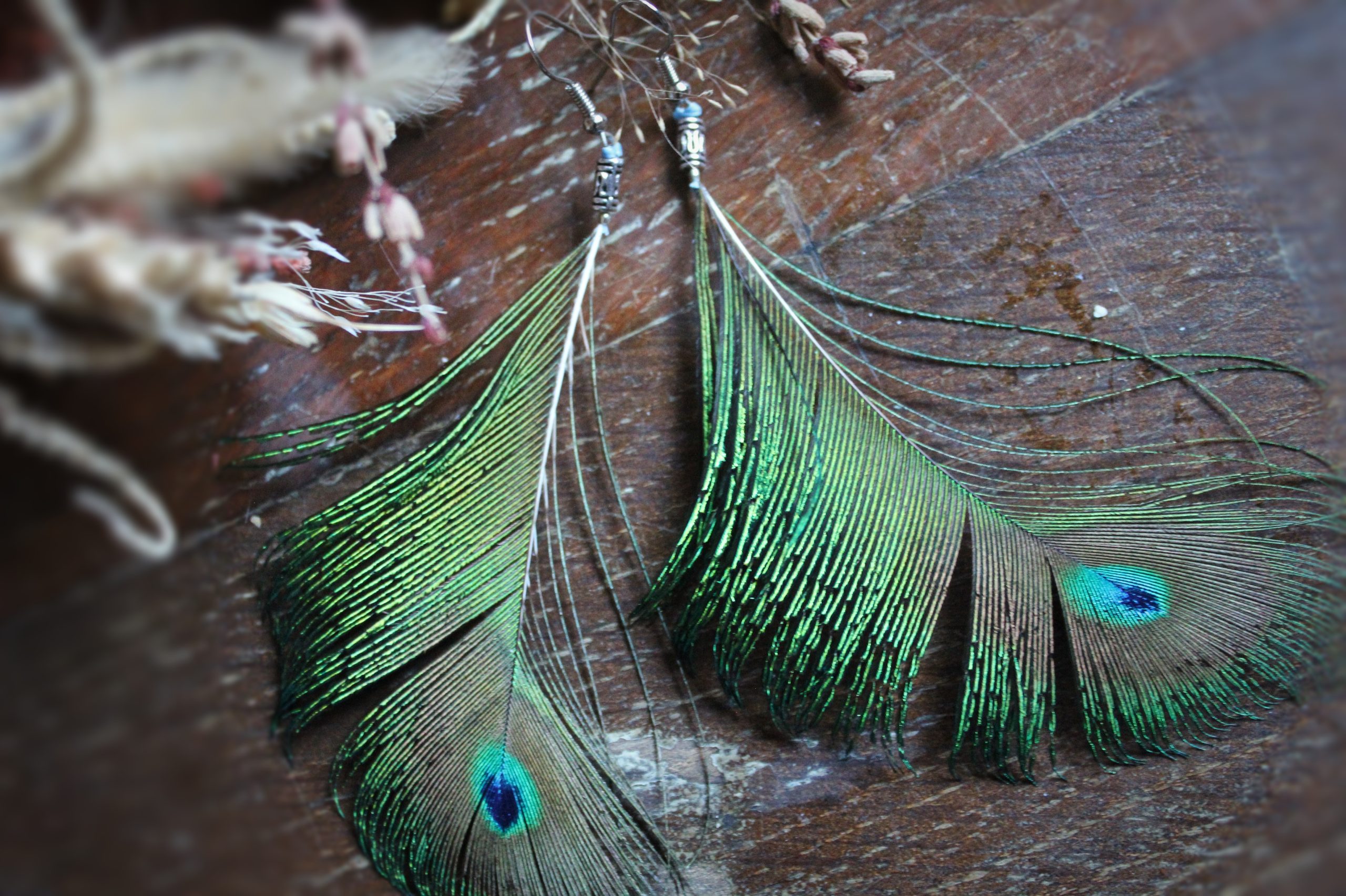 Grandes boucles d'oreilles plumes de paon oeil