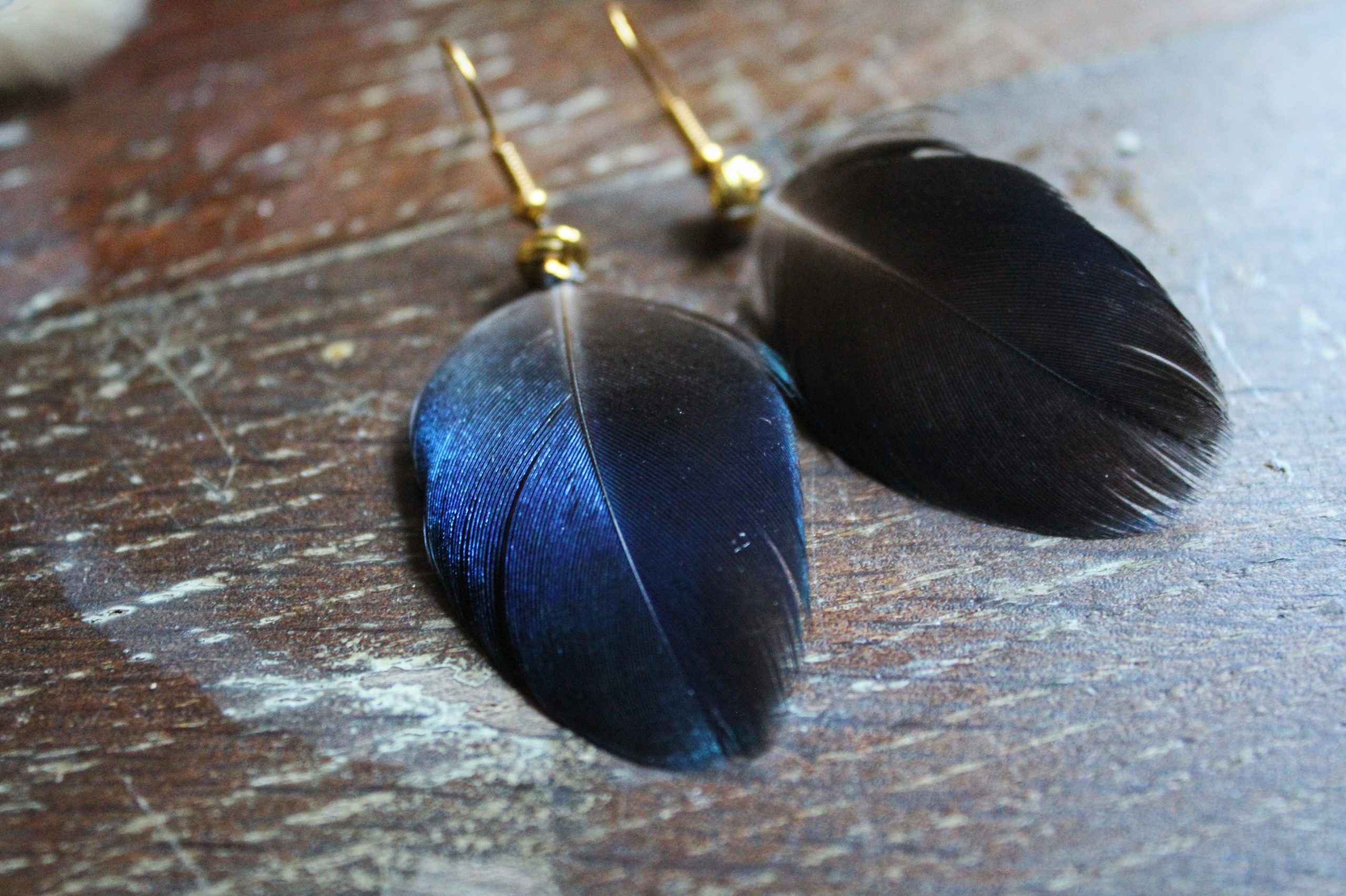 Boucles d'oreilles plumes de paon bleues