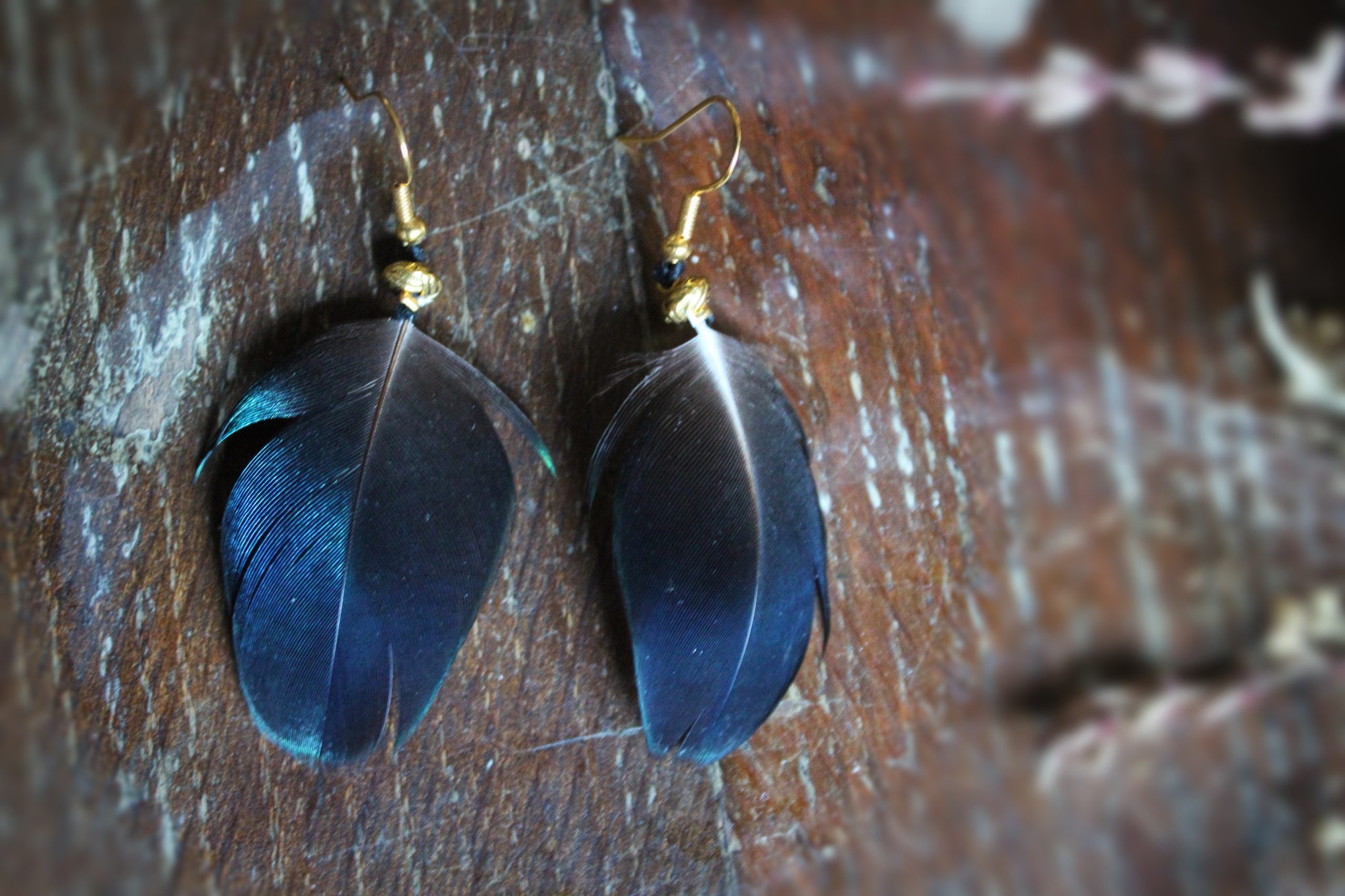 Boucles d'oreilles plumes de paon bleues