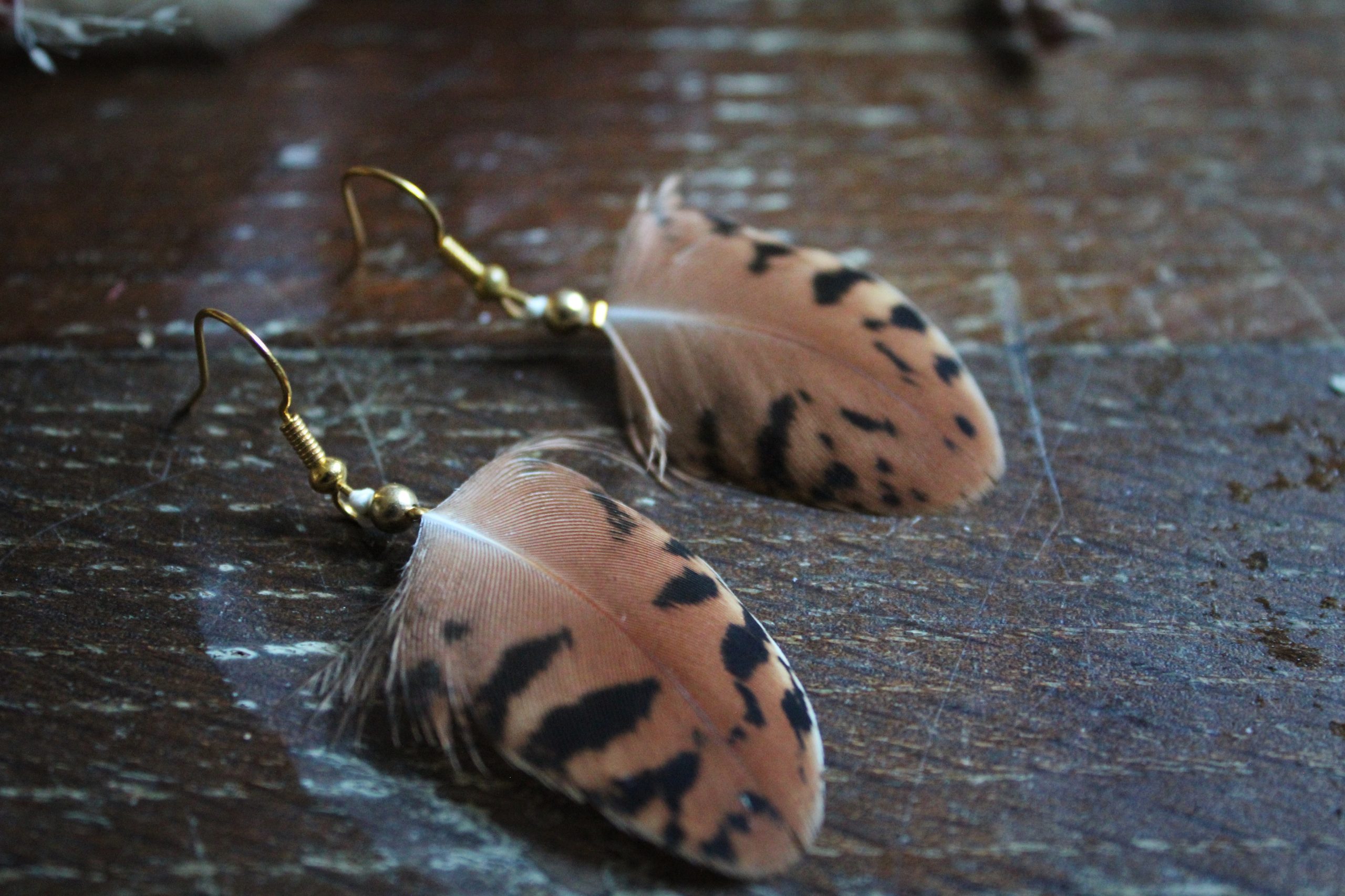 Boucles d'oreilles plumes de paon marron tigré