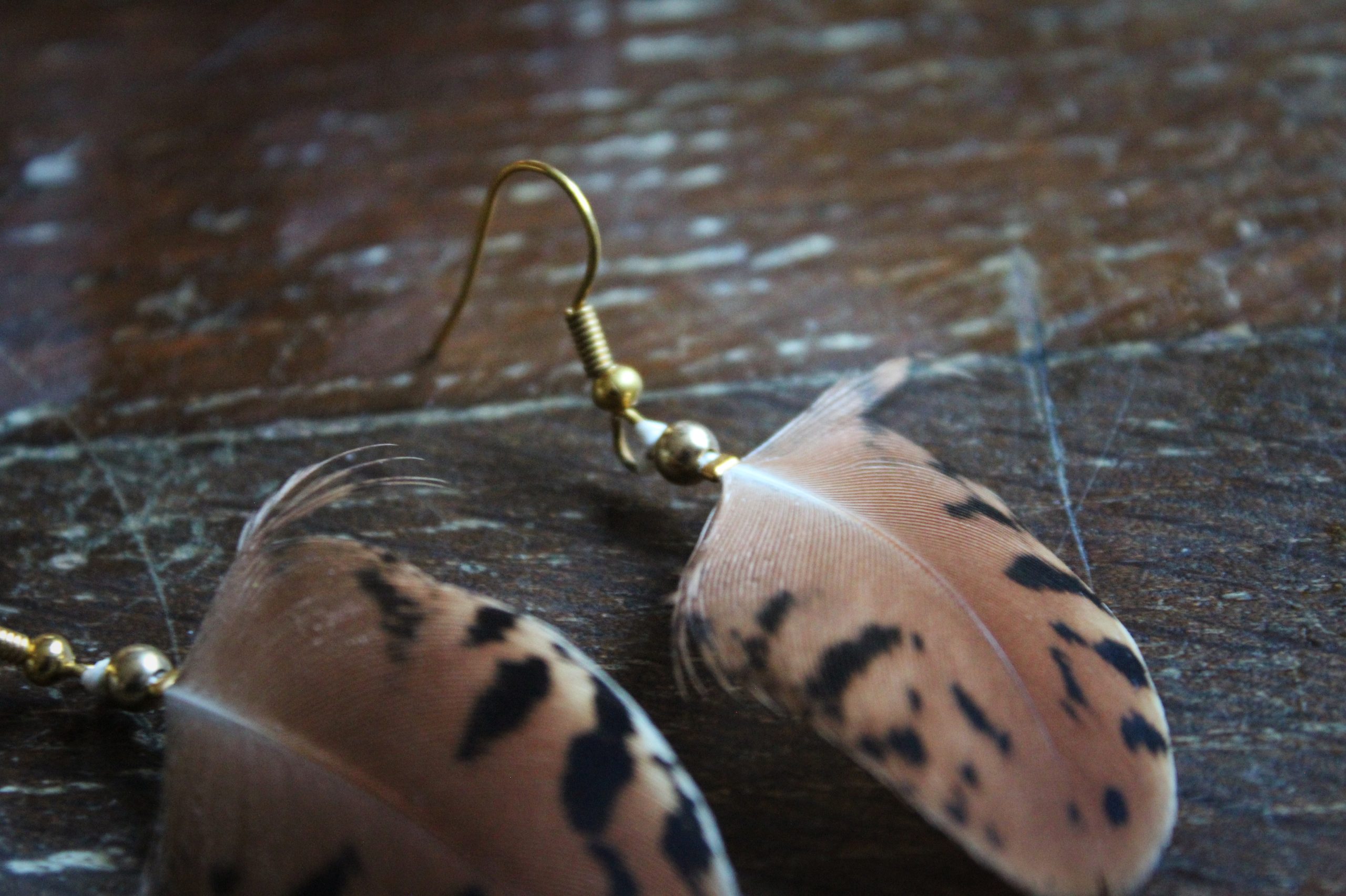 Boucles d'oreilles plumes de paon marron tigré
