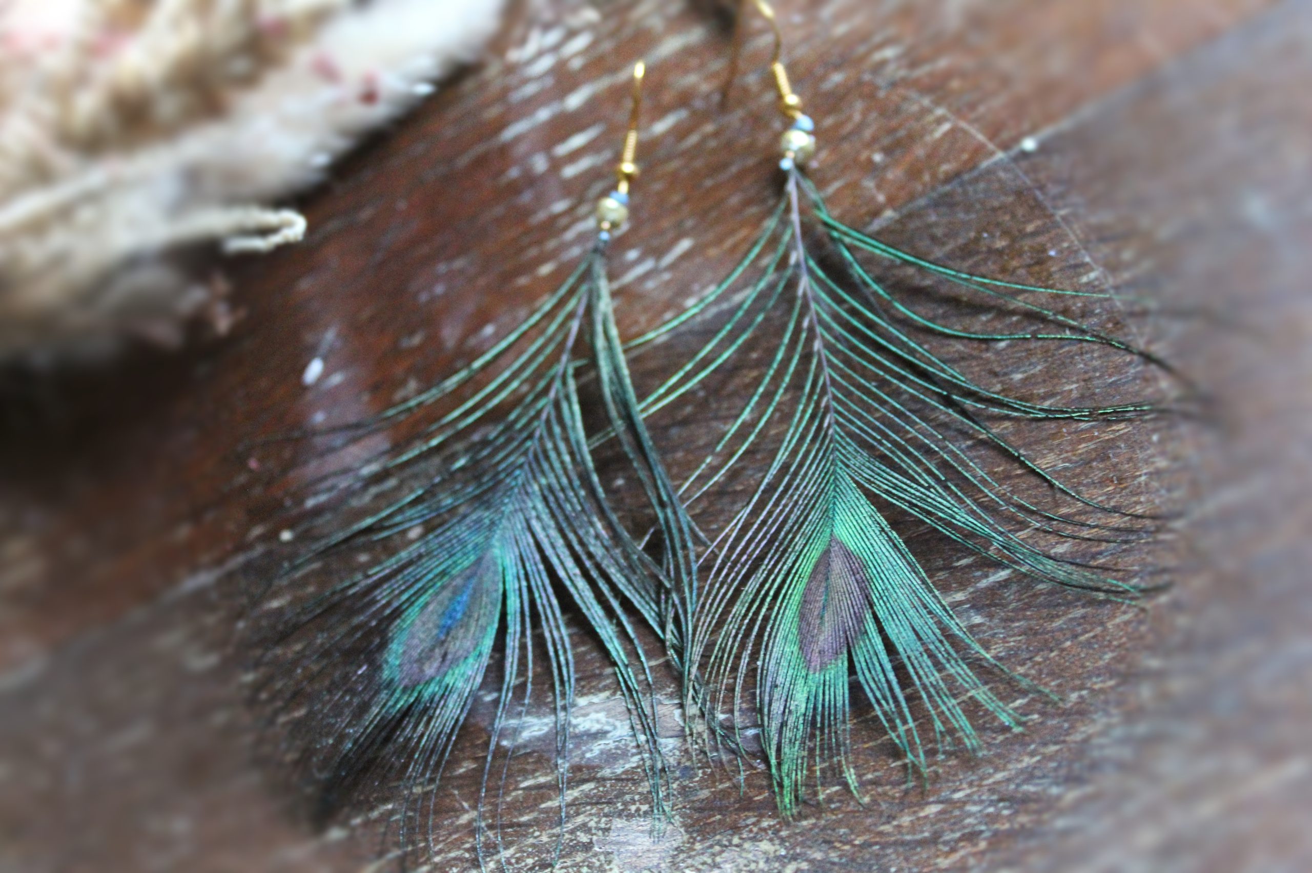 Boucles d'oreilles plumes de paon