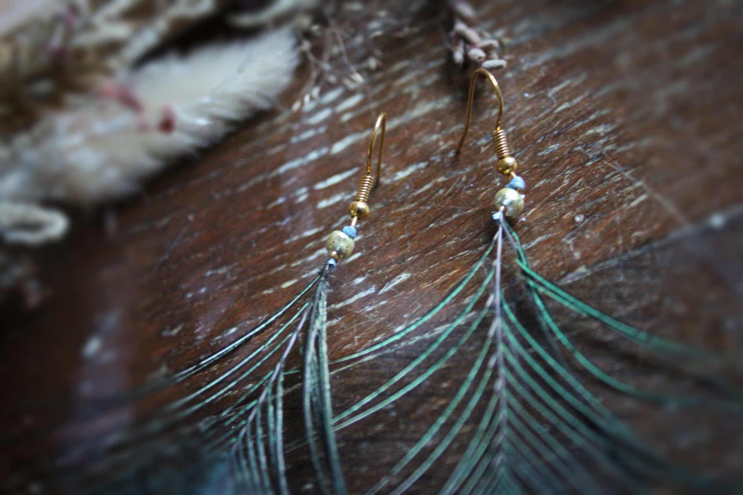 Boucles d'oreilles plumes de paon