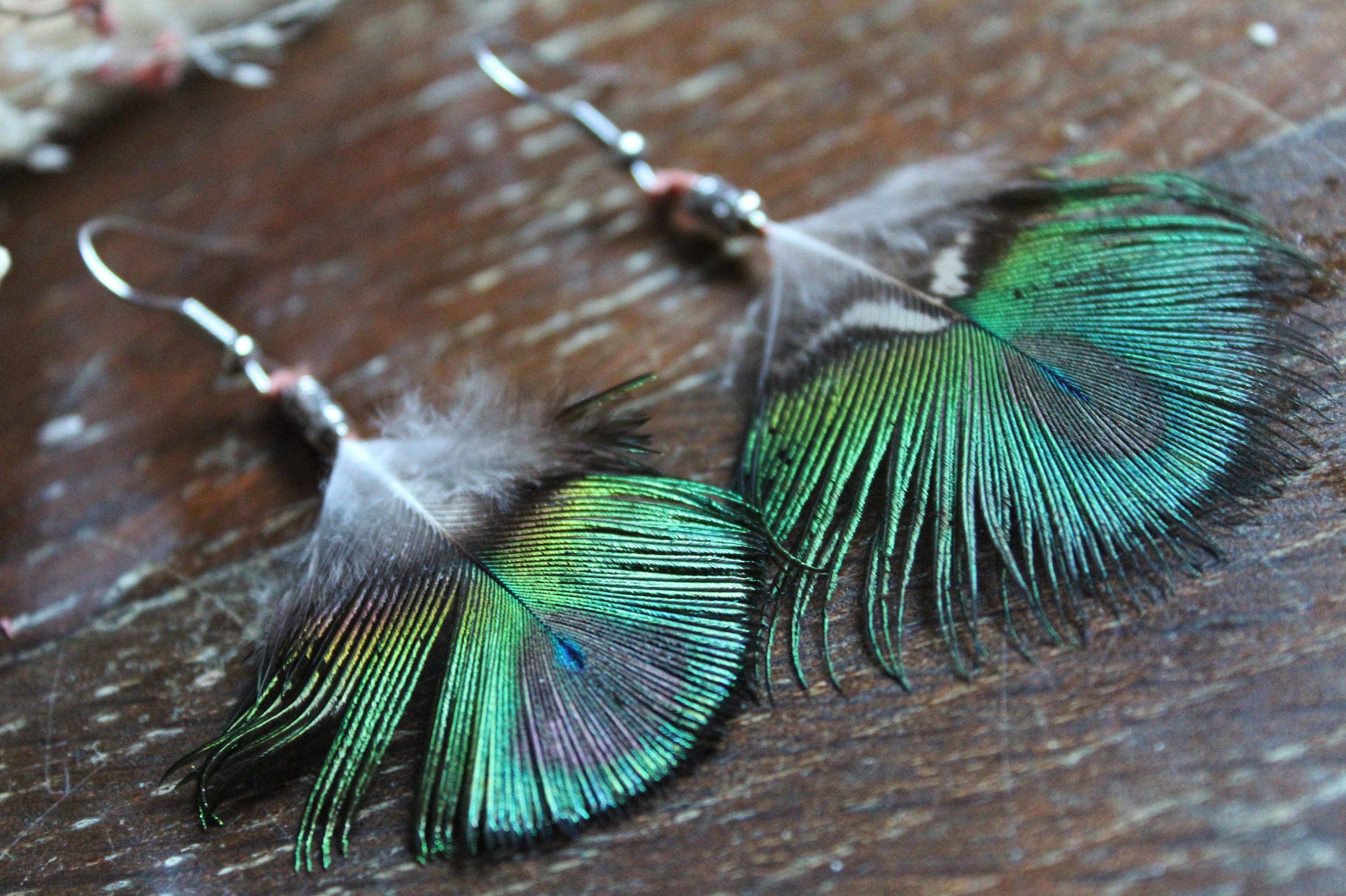 Boucles d'oreilles plumes de paon dégradé et irisé