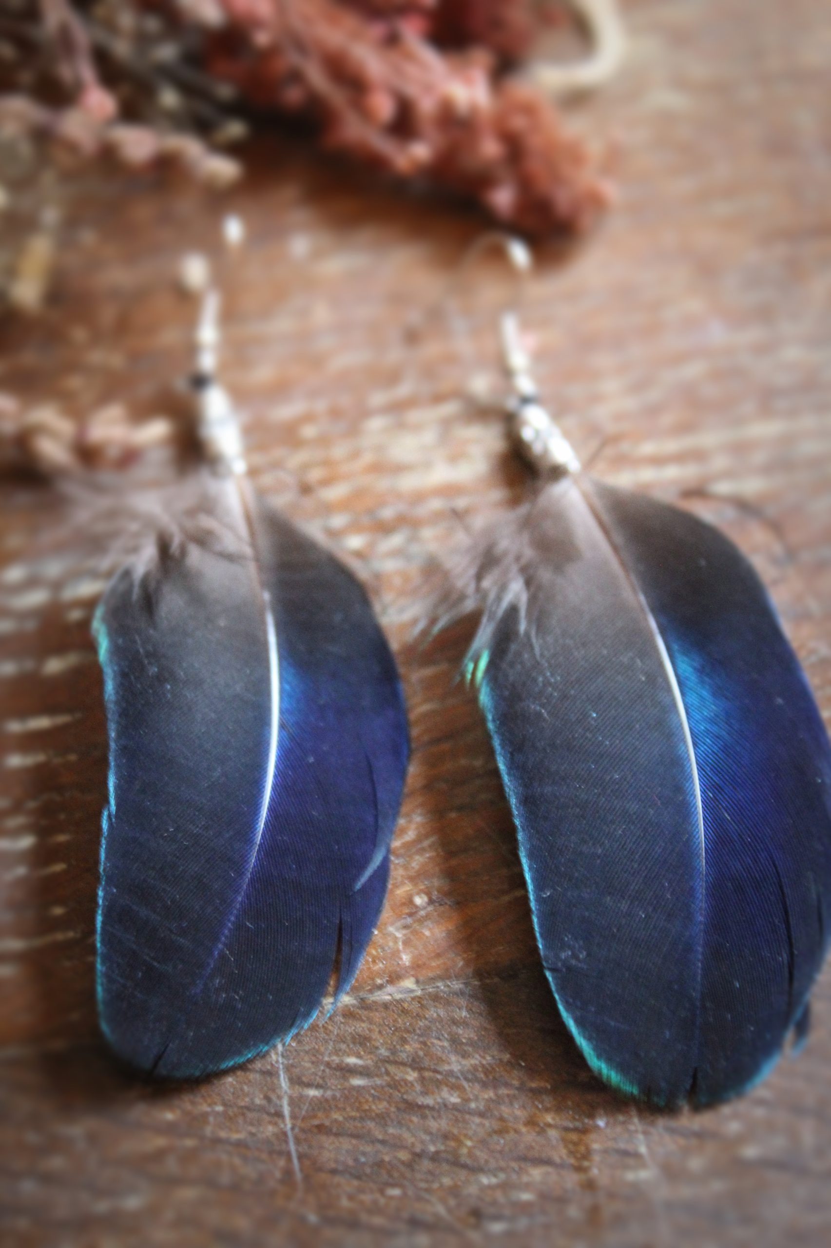 Boucles d'oreilles plumes de paon bleues