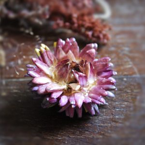 Broche avec une fleur d'œillet rose résinée
