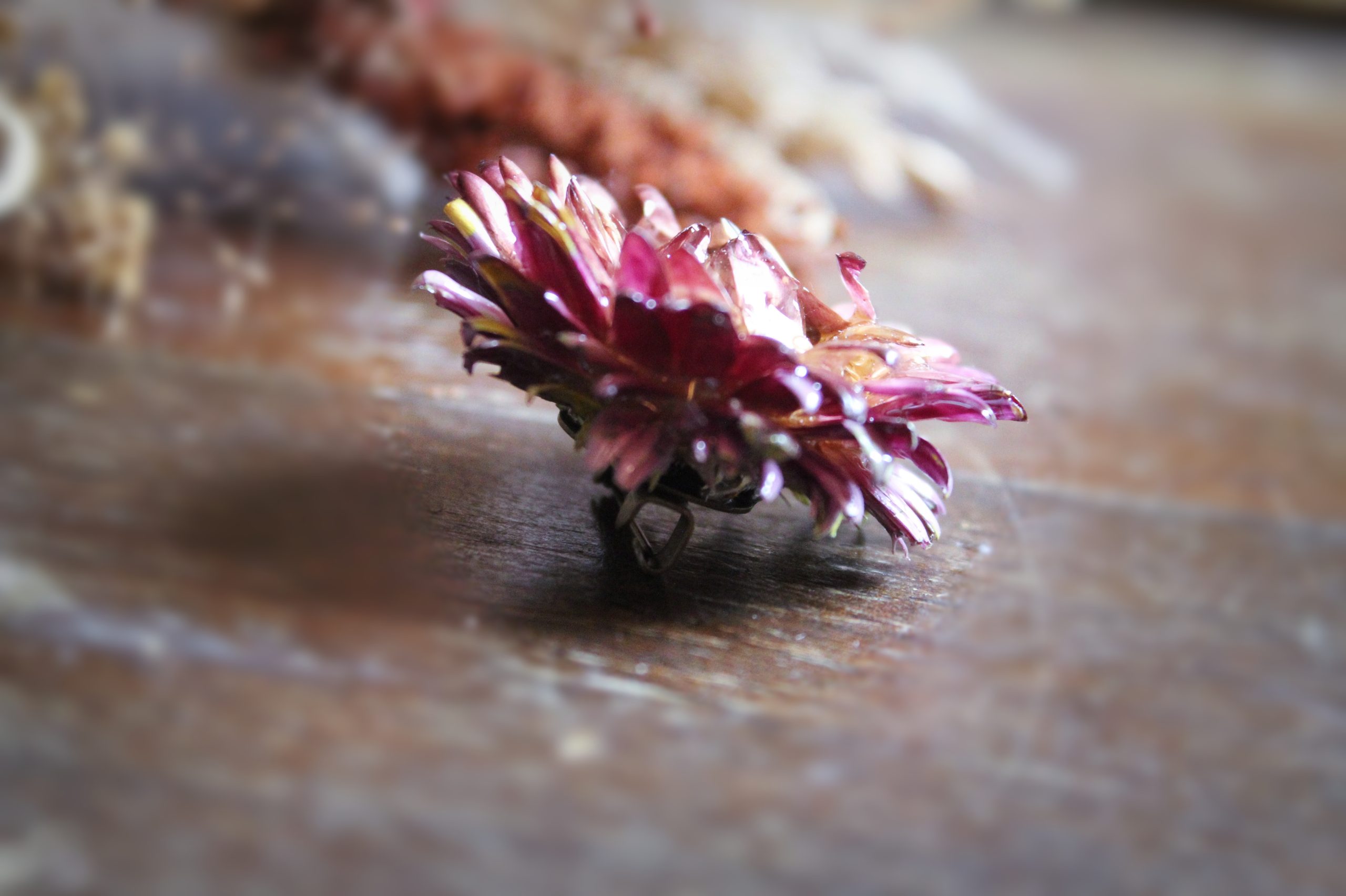 Broche avec une fleur d'œillet rose résinée