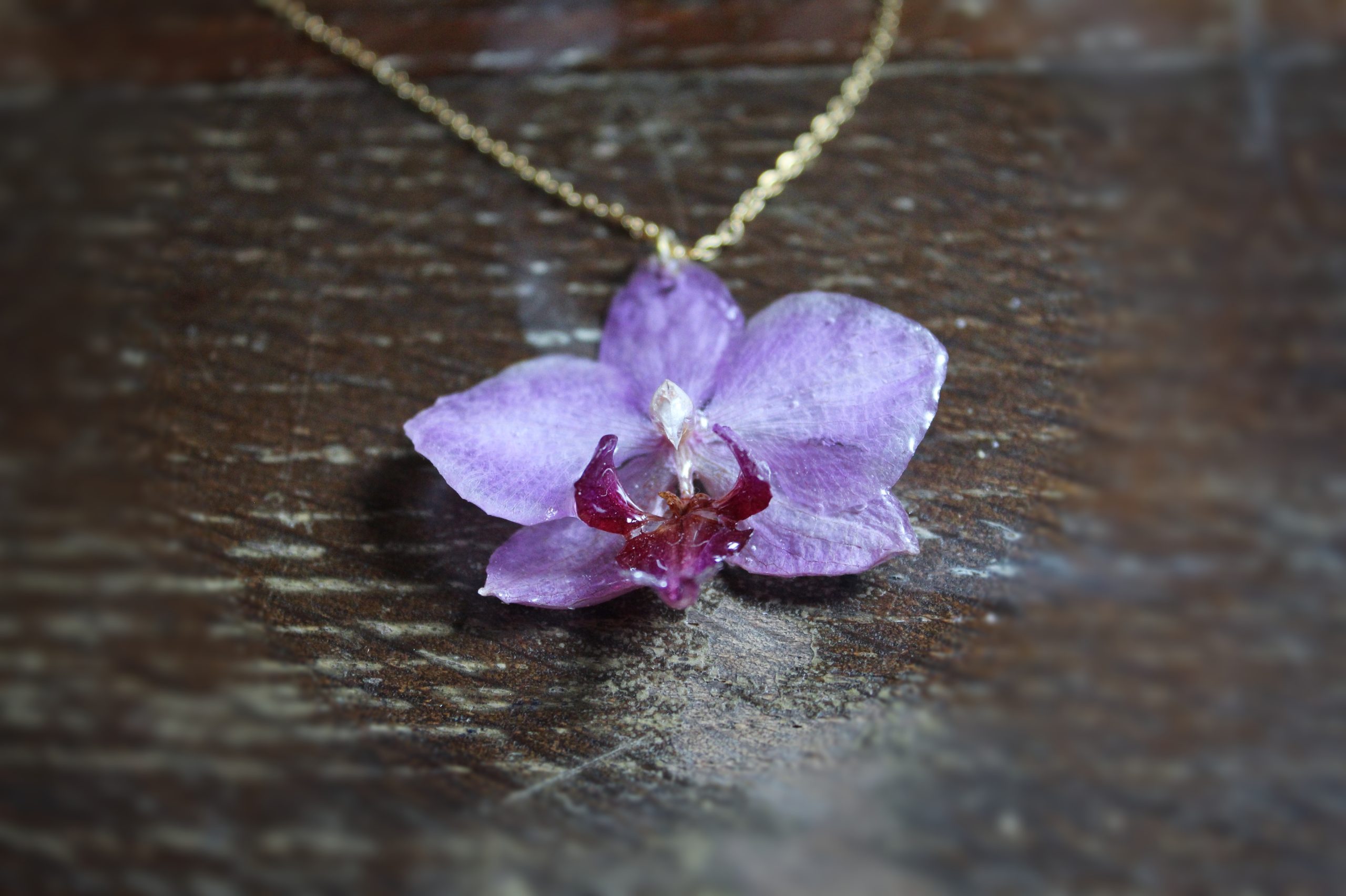 Collier avec une véritable orchidée résinée et chaîne dorée