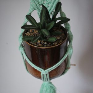 Petite suspension pour plantes en macramé vert clair avec pot et plantes