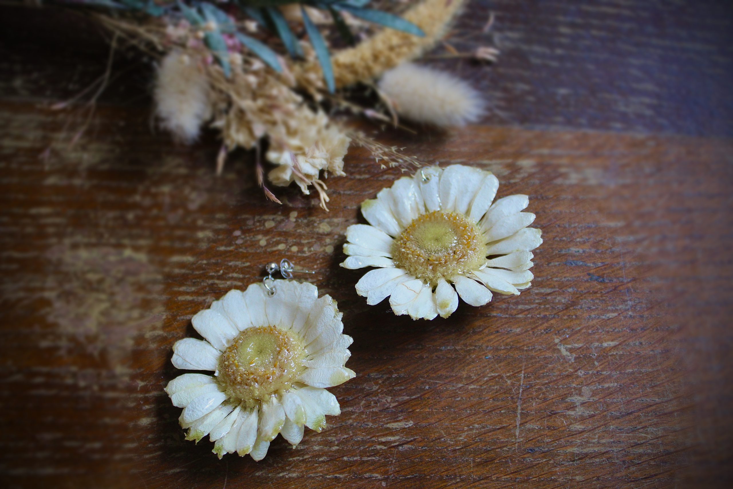 Boucles d'oreilles avec des germinies blanches séchées