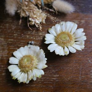 Boucles d'oreilles avec des germinies blanches séchées