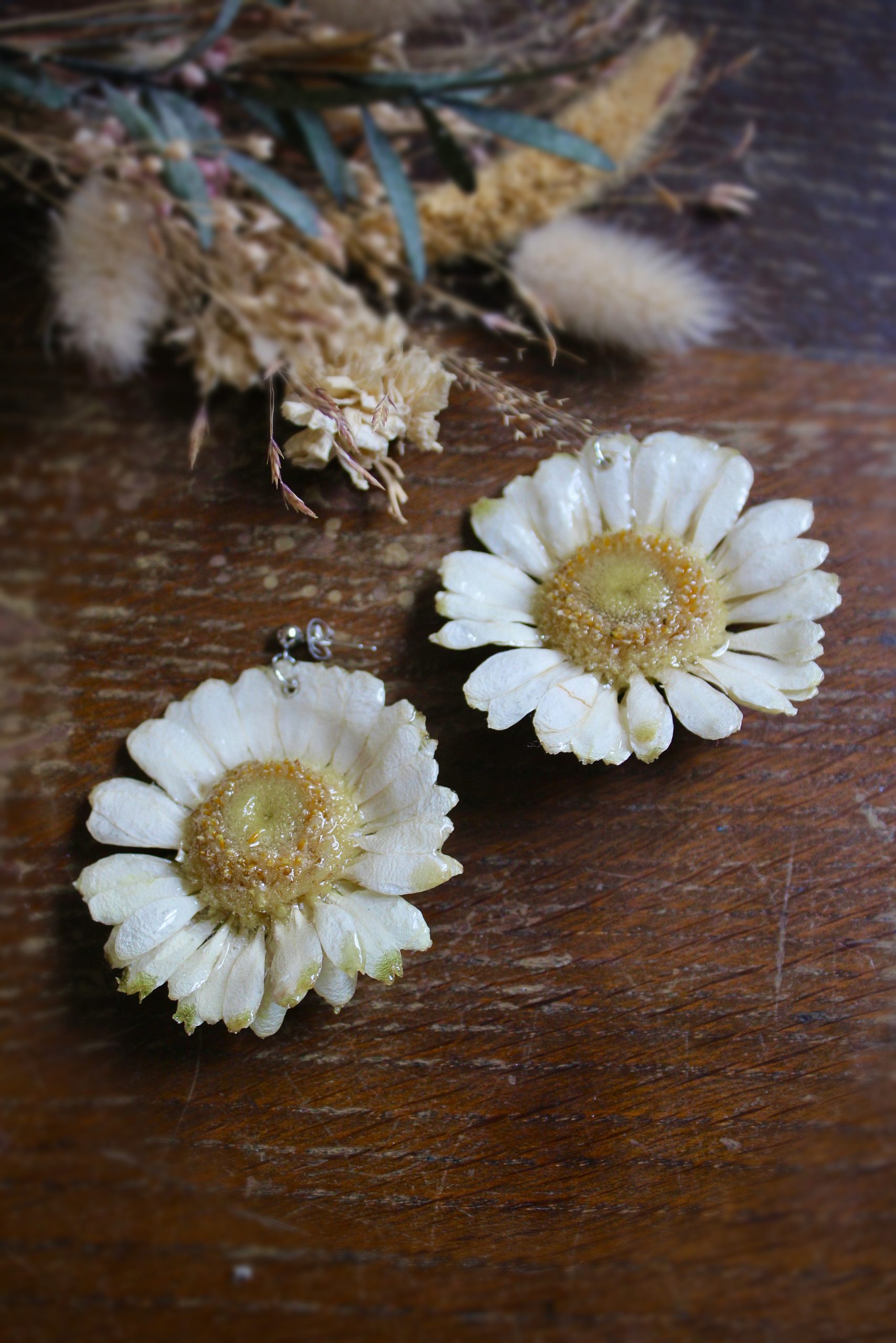 Boucles d'oreilles avec des germinies blanches séchées
